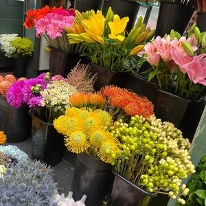 Meet your Posher, Misty